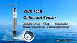 KWS-700B 온라인 PH 질소 센서 개요, 배선 및 데이터 판독