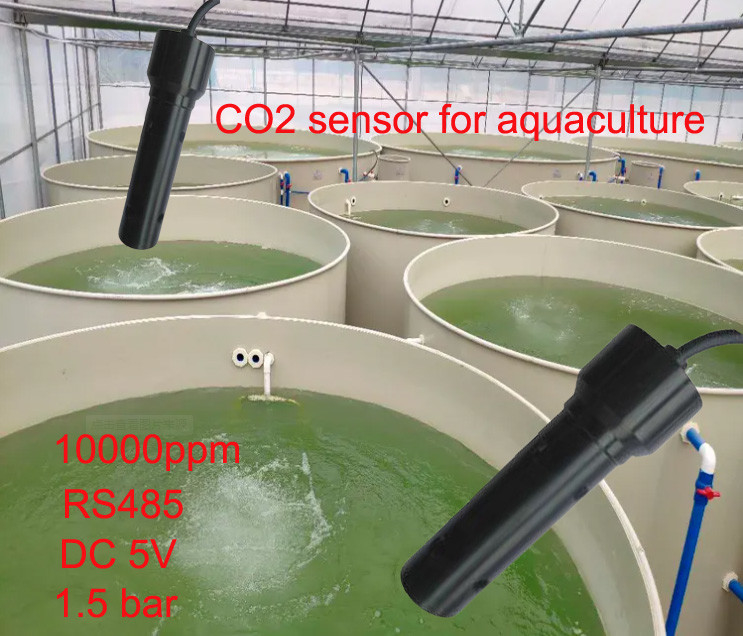 10000PPM IP68 수질 감지 센서 RS485는 수중생물 배양을 위한 이산화탄소 센서를 해산했습니다